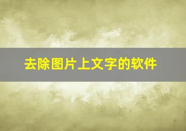 去除图片上文字的软件