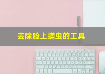 去除脸上螨虫的工具