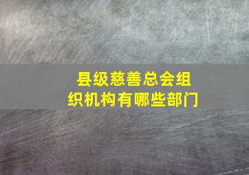 县级慈善总会组织机构有哪些部门