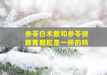 参苓白术散和参苓健脾胃颗粒是一样的吗