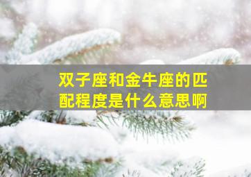 双子座和金牛座的匹配程度是什么意思啊