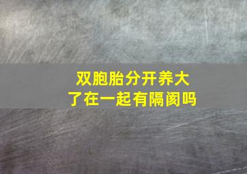 双胞胎分开养大了在一起有隔阂吗