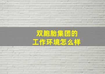 双胞胎集团的工作环境怎么样