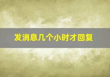 发消息几个小时才回复