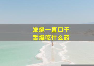 发烧一直口干舌燥吃什么药