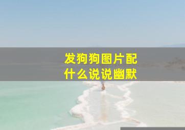 发狗狗图片配什么说说幽默