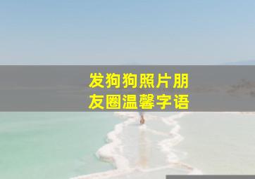 发狗狗照片朋友圈温馨字语