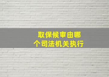 取保候审由哪个司法机关执行