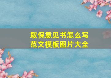 取保意见书怎么写范文模板图片大全