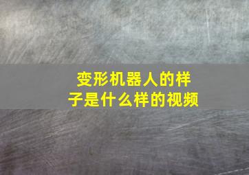 变形机器人的样子是什么样的视频