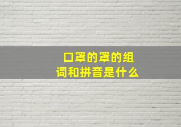 口罩的罩的组词和拼音是什么