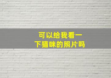 可以给我看一下猫咪的照片吗