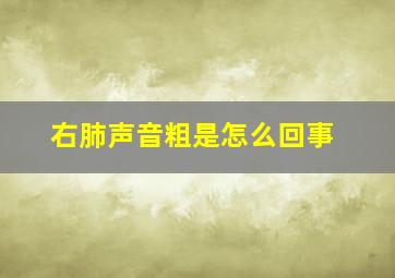 右肺声音粗是怎么回事