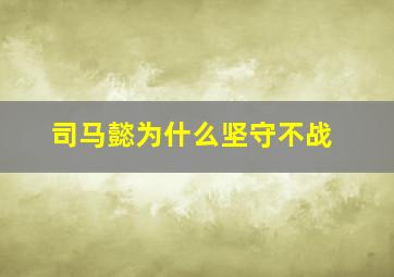 司马懿为什么坚守不战