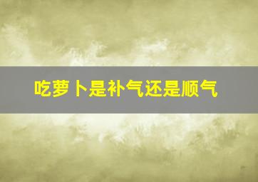 吃萝卜是补气还是顺气