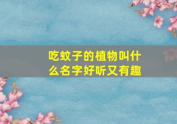 吃蚊子的植物叫什么名字好听又有趣