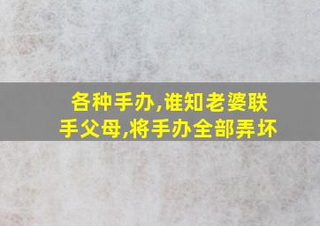 各种手办,谁知老婆联手父母,将手办全部弄坏