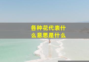 各种花代表什么意思是什么