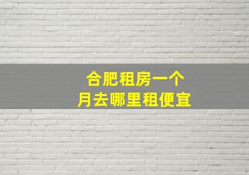 合肥租房一个月去哪里租便宜