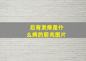 后背发痒是什么病的前兆图片