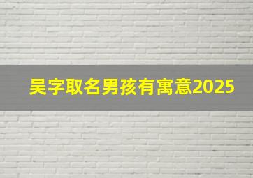 吴字取名男孩有寓意2025