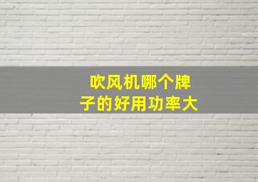 吹风机哪个牌子的好用功率大