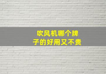 吹风机哪个牌子的好用又不贵