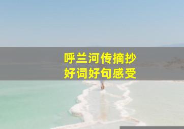 呼兰河传摘抄好词好句感受