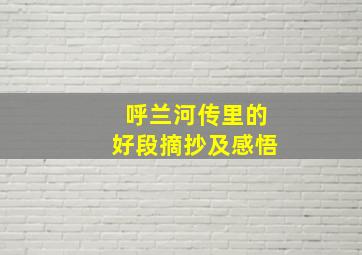 呼兰河传里的好段摘抄及感悟