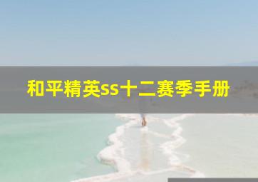 和平精英ss十二赛季手册