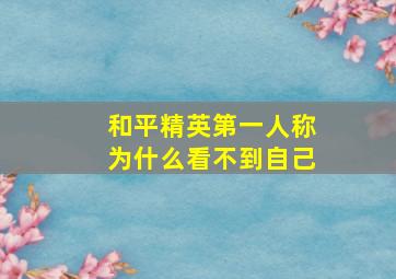 和平精英第一人称为什么看不到自己