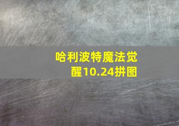 哈利波特魔法觉醒10.24拼图