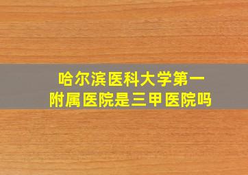 哈尔滨医科大学第一附属医院是三甲医院吗