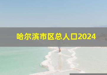 哈尔滨市区总人口2024