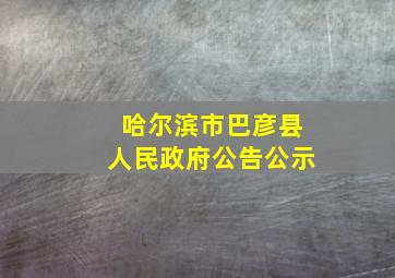 哈尔滨市巴彦县人民政府公告公示