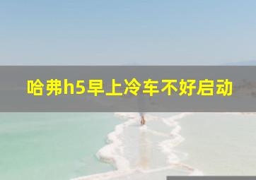 哈弗h5早上冷车不好启动