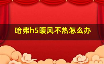 哈弗h5暖风不热怎么办