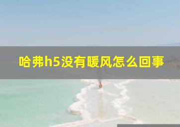 哈弗h5没有暖风怎么回事