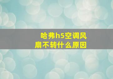 哈弗h5空调风扇不转什么原因