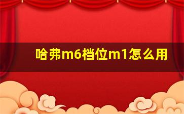 哈弗m6档位m1怎么用