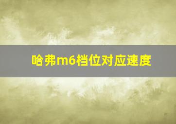 哈弗m6档位对应速度