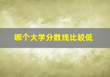 哪个大学分数线比较低