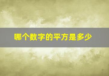 哪个数字的平方是多少