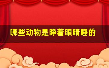 哪些动物是睁着眼睛睡的