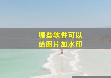 哪些软件可以给图片加水印