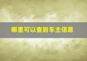 哪里可以查到车主信息