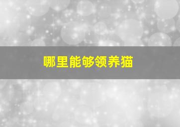 哪里能够领养猫