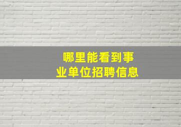 哪里能看到事业单位招聘信息