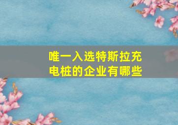 唯一入选特斯拉充电桩的企业有哪些