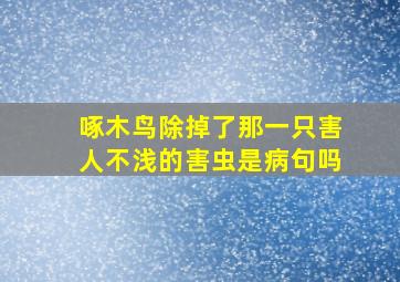 啄木鸟除掉了那一只害人不浅的害虫是病句吗